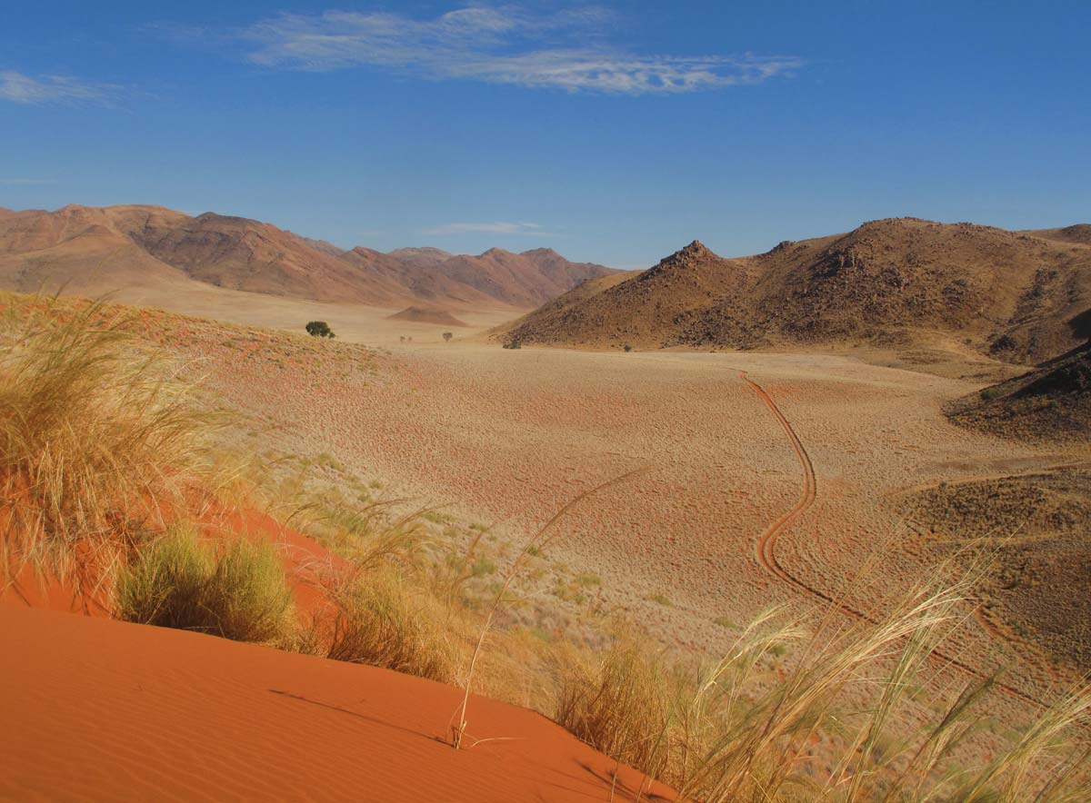 Namib Rand Nature Reserve - scenic landscapes